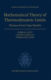 The Mathematical Theory of Thermodynamic Limits