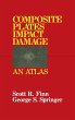 Composite Plates Impact Damage - Bild 1