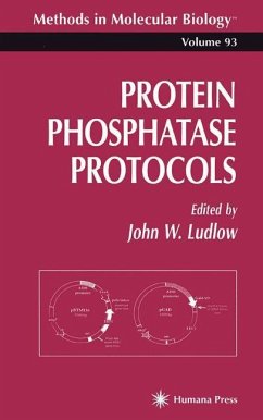 Protein Phosphatase Protocols - Ludlow, John W. (ed.)