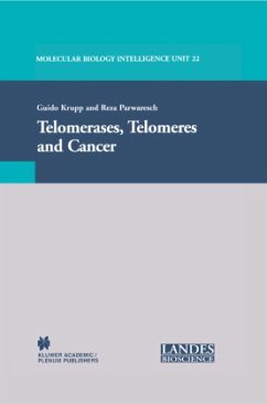 Telomerases, Telomeres and Cancer - Krupp, Guido / Parwaresch, Reza (Hgg.)