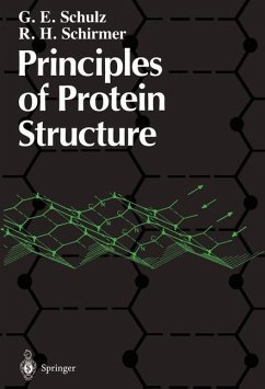Principles of Protein Structure - Schulz, Georg E.;Schirmer, R. Heiner
