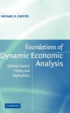 Foundations of Dynamic Economic Analysis