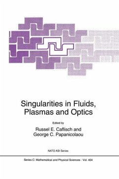 Singularities in Fluids, Plasmas and Optics - Caflisch, R.E. / Papanicolaou, George C. (Hgg.)