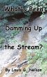 What's Been Damming Up the Stream? - Bild 1