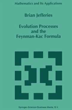 Evolution Processes and the Feynman-Kac Formula - Jefferies, B.