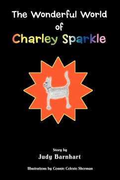 The Wonderful World of Charley Sparkle - Barnhart, Judy