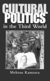 Cultural Politics in the Third World