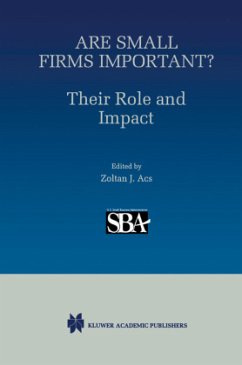 Are Small Firms Important? Their Role and Impact - Acs, Z.J. (Hrsg.)