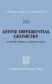 Affine Differential Geometry