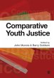 Comparative Youth Justice - Bild 1