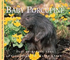 Baby Porcupine - Lang, Aubrey