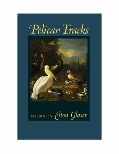 Pelican Tracks - Glaser, Elton