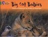 Big Cat Babies - Bild 1