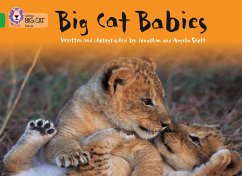 Big Cat Babies - Scott, Jonathan; Scott, Angela