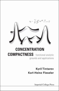 Concentration Compactness: Functional-Analytic Grounds and Applications - Tintarev, Kyril; Fieseler, Karl-Heinz