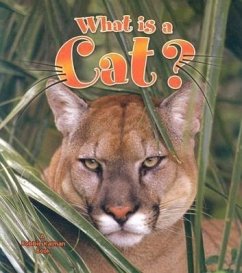 What Is a Cat? - Bishop, Amanda