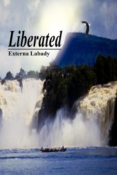 Liberated - Labady, Externa