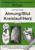 Atmung, Blut, Kreislauf, Herz / Biologie Atmung, Blut, Kreislauf, Herz / Biologie