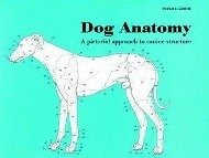 Dog Anatomy - Goody, Peter