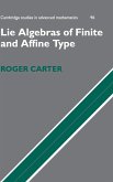 Lie Algebras of Finite and Affine Type