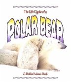 The Life Cycle of a Polar Bear