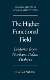 The Higher Functional Field