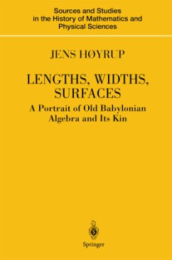 Lengths, Widths, Surfaces - Høyrup, Jens