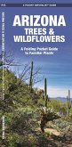 Arizona Trees & Wildflowers