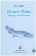 Electric Fishes - Bild 1