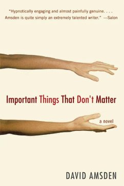 Important Things That Don't Matter - Amsden, David