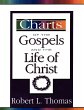 The Charts of the Gospels and the Life... - Bild 1