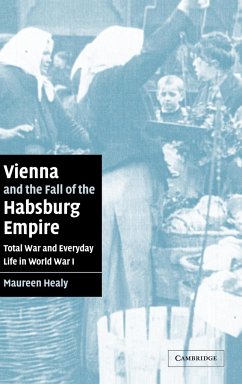 Vienna and the Fall of the Habsburg Empire - Healy, Maureen