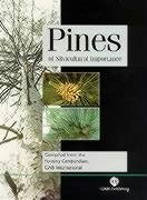 Pines of Silvicultural Importance - Cabi
