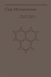 Clay Microstructure - Bild 1
