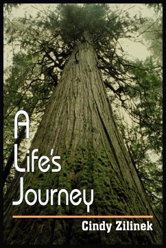 A Life's Journey - Zilinek, Cindy