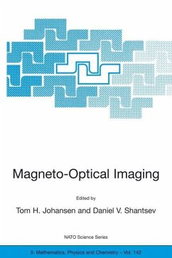 Magneto-Optical Imaging - Johansen