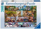 Ravensburger 16652 - Aimee Steward, Großartige Tierwelt, 2000 Teile Puzzle