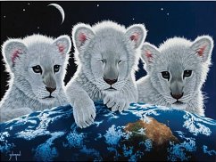 Cover Secret,Mystery And Hope