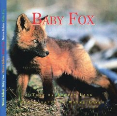 Baby Fox - Lang, Aubrey