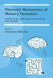 Neuronal Mechanisms of Memory Formation - Hölscher, Christian (ed.)