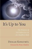 It's Up to You: The Practice of Self-Reflection on the Buddhist Path