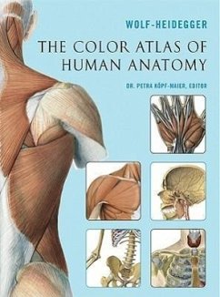 The Color Atlas of Human Anatomy