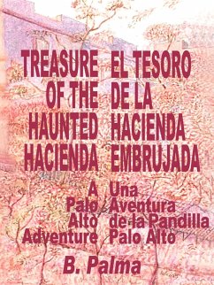 Treasure of the Haunted Hacienda - Palma, B.