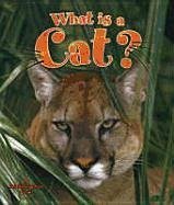 What Is a Cat? - Bishop, Amanda; Kalman, Bobbie