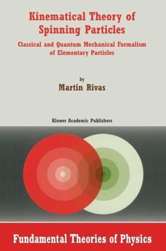 Kinematical Theory of Spinning Particles - Rivas, M.