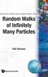 RANDOM WALKS OF INFINITELY MANY... (V1) - Bild 1
