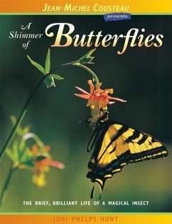 A Shimmer of Butterflies: The Brief, Brilliant Life of a Magical Insect - Hunt, Joni Phelps