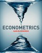 Econometrics with Online Learning Centre - Bild 1