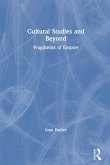 Cultural Studies and Beyond