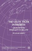 The Celtic Tiger in Distress